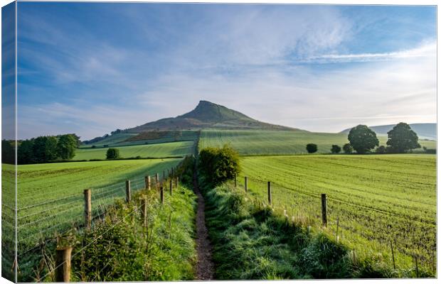Discovering Roseberry's Natural Wonders Canvas Print by Steve Smith