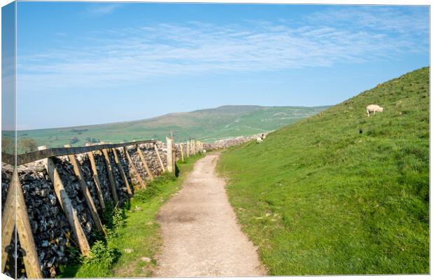 Exploring Nature's Beauty in Malham Canvas Print by Steve Smith