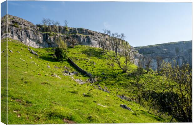 Malham Cove: A Natural Marvel Canvas Print by Steve Smith