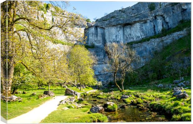 Discovering the Beauty of Malham Cove Canvas Print by Steve Smith