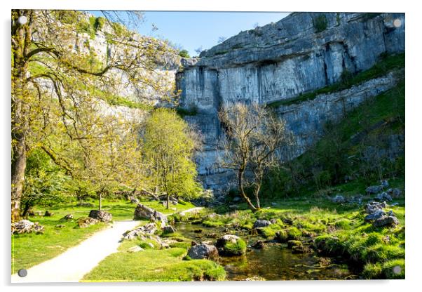 Discovering the Beauty of Malham Cove Acrylic by Steve Smith