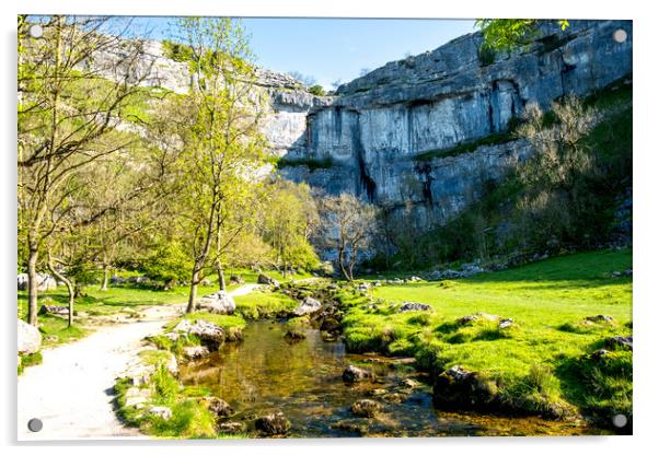 Malham Cove: Nature's Masterpiece Acrylic by Steve Smith