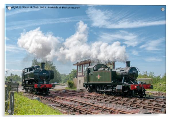 Steam Locomotives of the Dean Forest Railway Acrylic by Steve H Clark