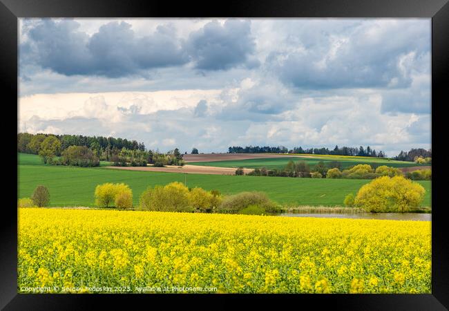 Spring fields of Europe, covered in bright yellow canola flowers. Framed Print by Sergey Fedoskin