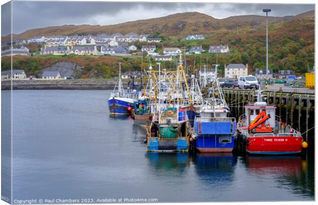 Mallaig Harbour Canvas Print by Paul Chambers