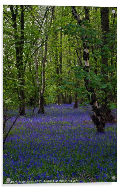 Bluebell Wood Acrylic by Jon Saiss