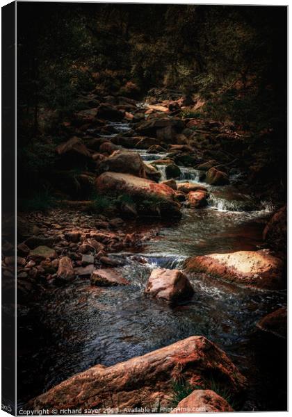 The Majestic Beauty of Nature Canvas Print by richard sayer