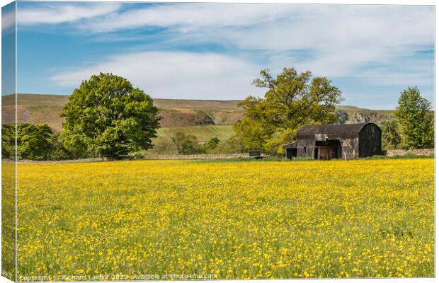 Buttercup Meadow at Newbiggin, Teesdale  Canvas Print by Richard Laidler