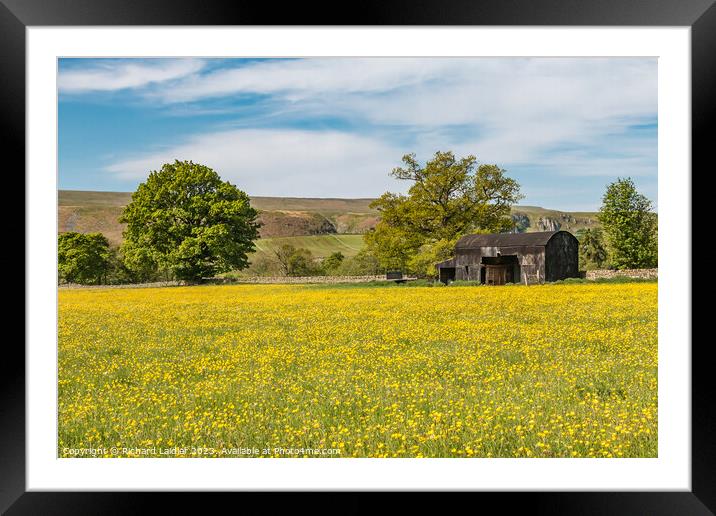 Buttercup Meadow at Newbiggin, Teesdale  Framed Mounted Print by Richard Laidler
