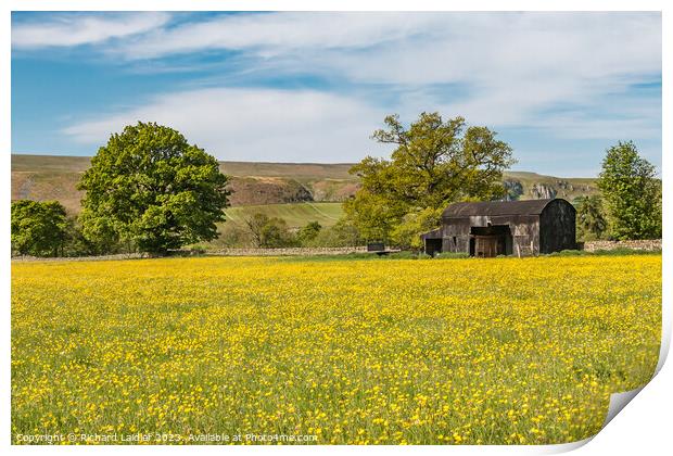 Buttercup Meadow at Newbiggin, Teesdale  Print by Richard Laidler