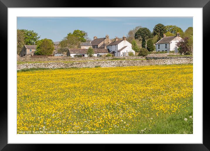 Spring Morning At Newbiggin, Teesdale Framed Mounted Print by Richard Laidler