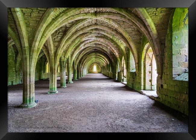 Cellarium at Fountains Abbey ruins in Yorkshire, England Framed Print by Steve Heap