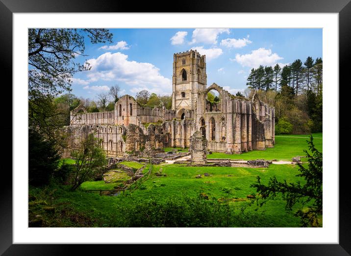 Springtime at Fountains Abbey ruins in Yorkshire,  Framed Mounted Print by Steve Heap