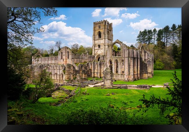 Springtime at Fountains Abbey ruins in Yorkshire,  Framed Print by Steve Heap