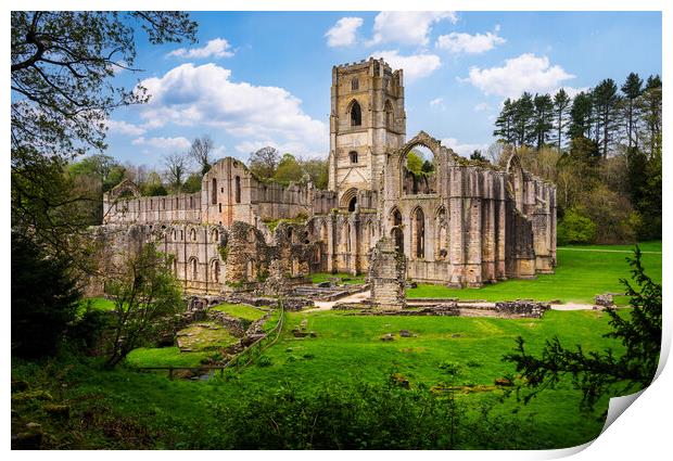 Springtime at Fountains Abbey ruins in Yorkshire,  Print by Steve Heap