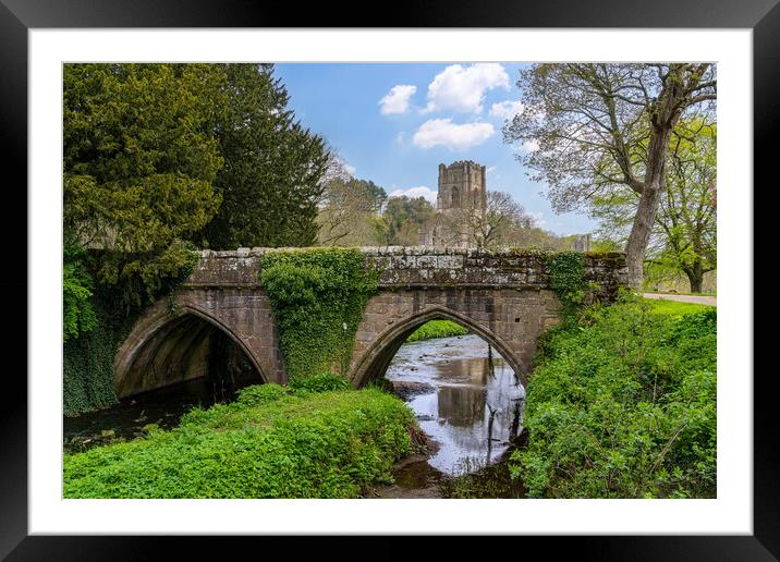 Stone bridge at Fountains Abbey ruins in Yorkshire Framed Mounted Print by Steve Heap