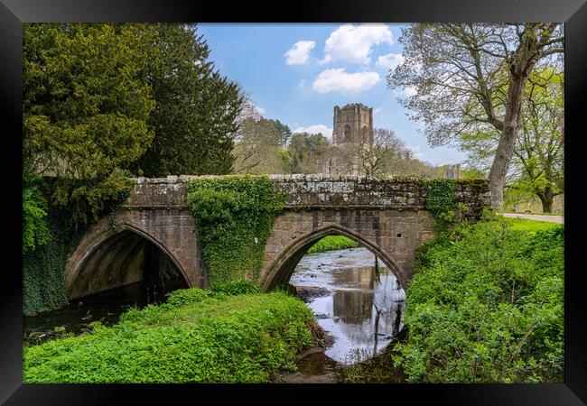 Stone bridge at Fountains Abbey ruins in Yorkshire Framed Print by Steve Heap