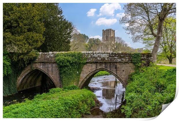Stone bridge at Fountains Abbey ruins in Yorkshire Print by Steve Heap