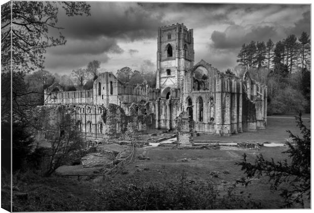 Monochrome view of Fountains Abbey ruins in Yorksh Canvas Print by Steve Heap