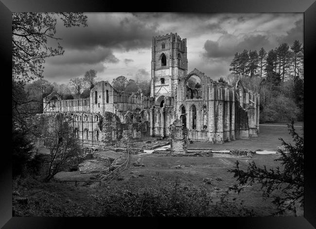 Monochrome view of Fountains Abbey ruins in Yorksh Framed Print by Steve Heap