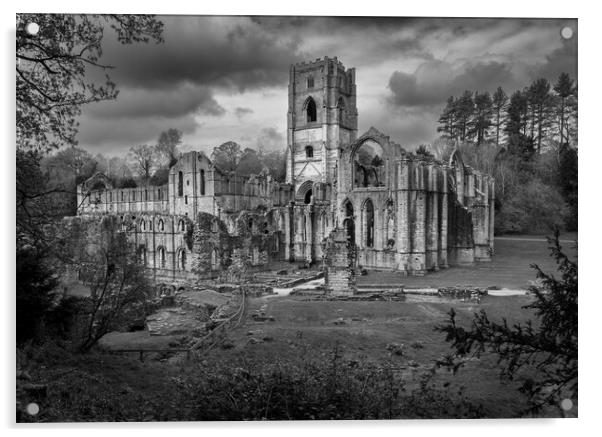 Monochrome view of Fountains Abbey ruins in Yorksh Acrylic by Steve Heap