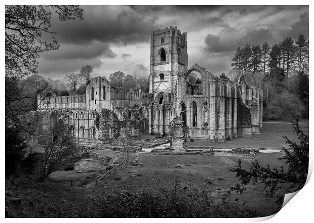 Monochrome view of Fountains Abbey ruins in Yorksh Print by Steve Heap