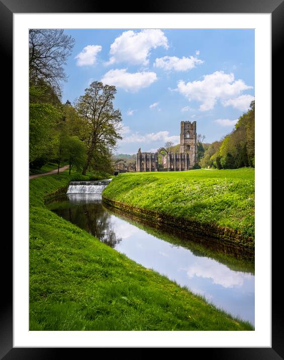 Springtime at Fountains Abbey ruins in Yorkshire, England Framed Mounted Print by Steve Heap