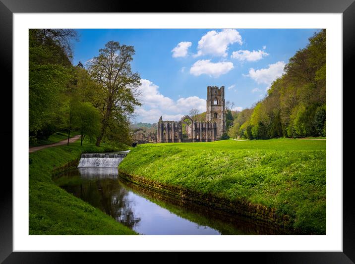Springtime at Fountains Abbey ruins in Yorkshire,  Framed Mounted Print by Steve Heap