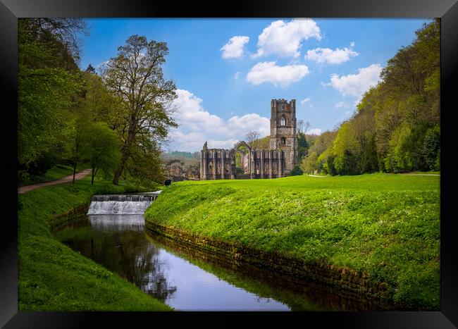 Springtime at Fountains Abbey ruins in Yorkshire,  Framed Print by Steve Heap