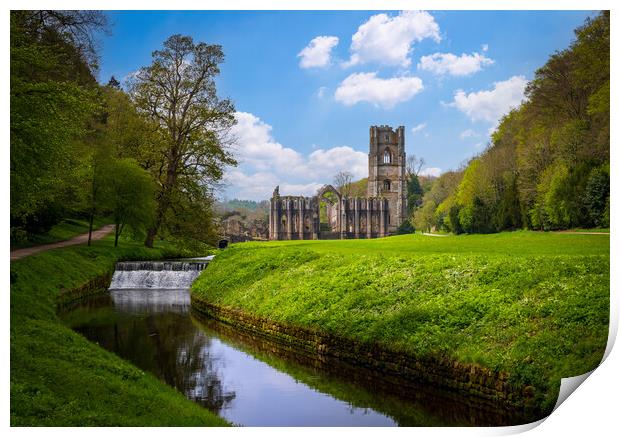 Springtime at Fountains Abbey ruins in Yorkshire,  Print by Steve Heap