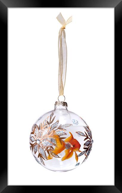 Goldfish In Christmas Bauble Framed Print by Robert Deering
