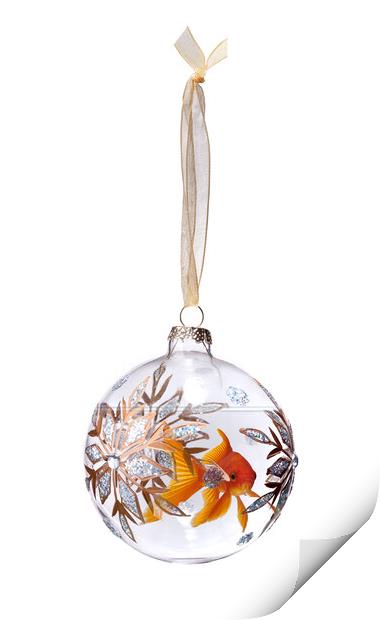 Goldfish In Christmas Bauble Print by Robert Deering