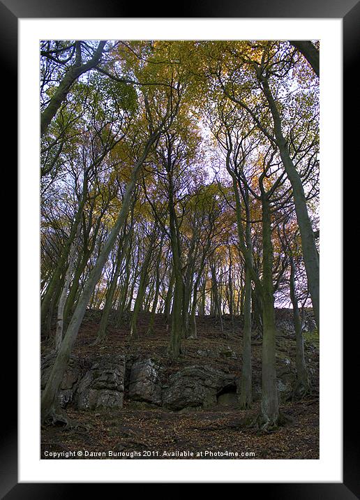Rocks And Autumn Trees Framed Mounted Print by Darren Burroughs