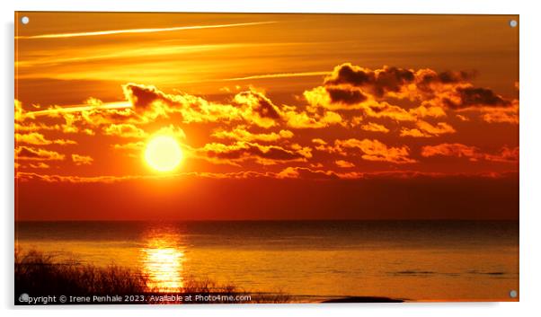 Mesmerizing Golden Sunset over Lake Erie Acrylic by Irene Penhale
