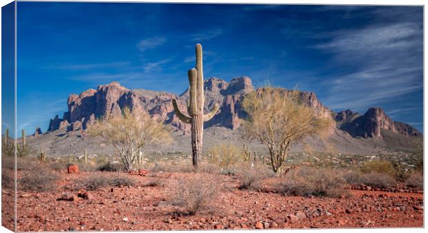 Superstition Mountains Arizona Canvas Print by John Frid