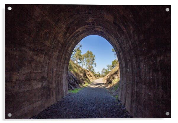 Yimbun Railway Tunnel Heritage Listed Acrylic by Antonio Ribeiro