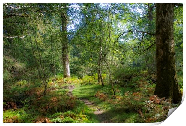 walking through the enchanted forest Print by Derek Daniel