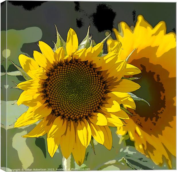 Sunflower Portrait Canvas Print by Gillian Robertson