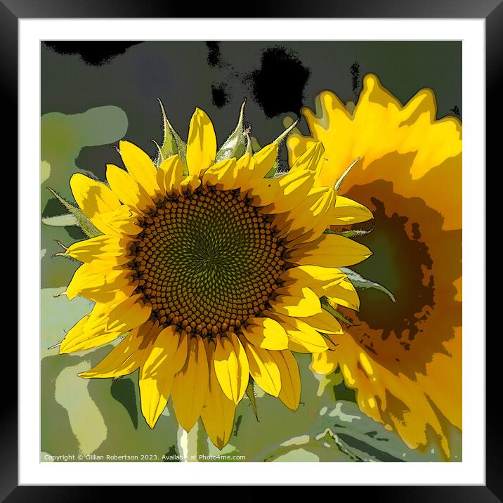 Sunflower Portrait Framed Mounted Print by Gillian Robertson