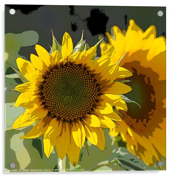 Sunflower Portrait Acrylic by Gillian Robertson