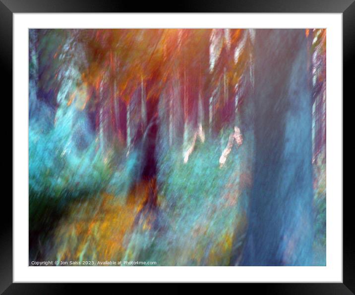 Woods at Sunset Framed Mounted Print by Jon Saiss