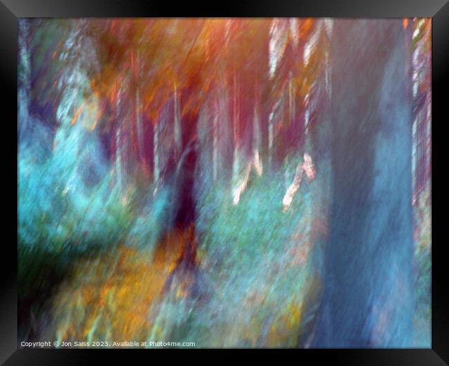 Woods at Sunset Framed Print by Jon Saiss
