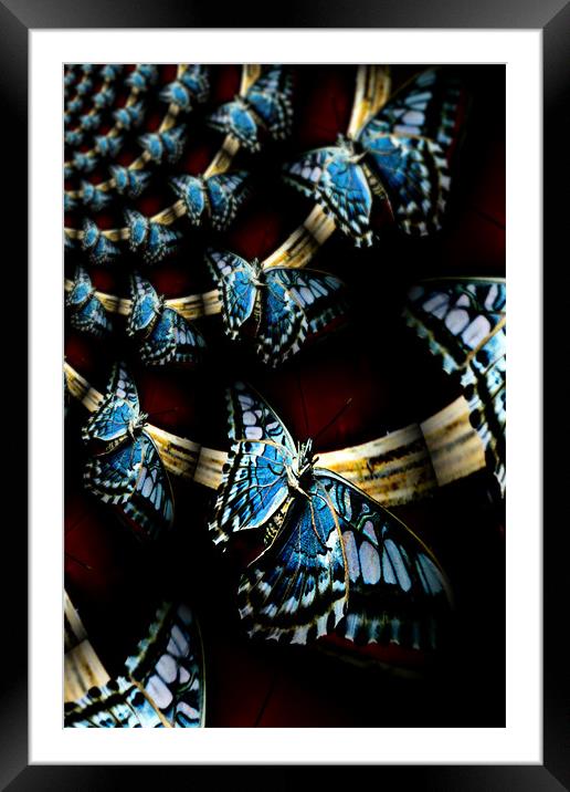 butterfly dreams Framed Mounted Print by Heather Newton