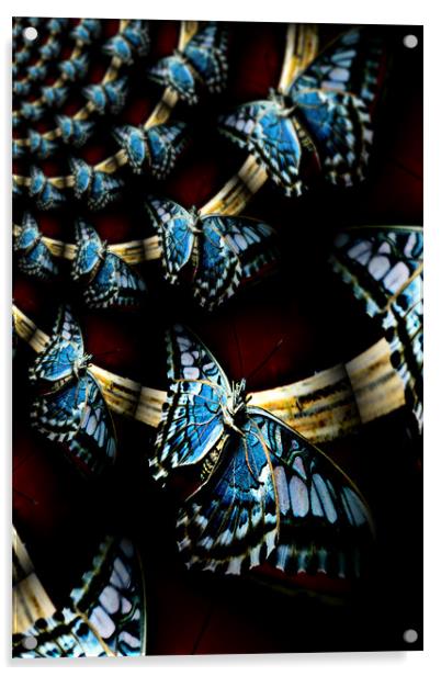 butterfly dreams Acrylic by Heather Newton