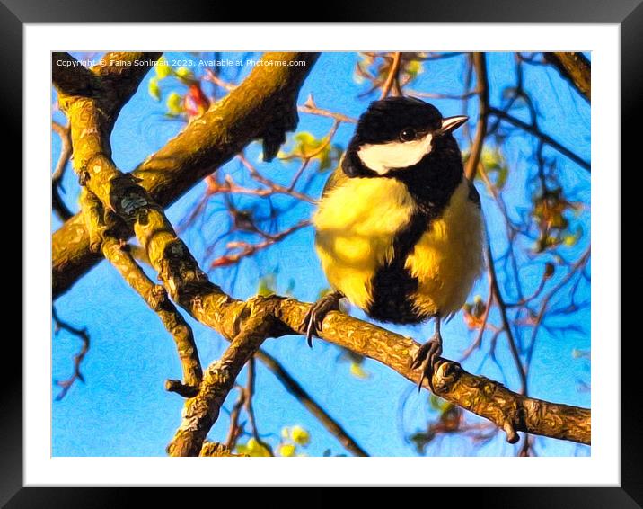 Great Tit, Parus Major in the Spring Framed Mounted Print by Taina Sohlman