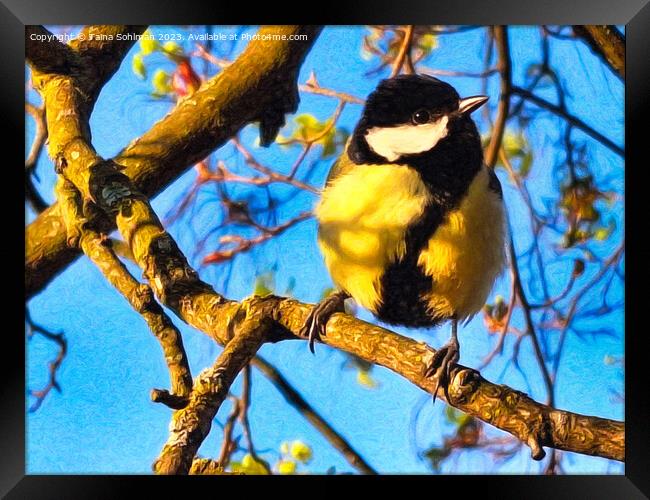 Great Tit, Parus Major in the Spring Framed Print by Taina Sohlman