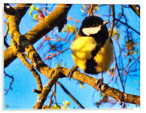 Great Tit, Parus Major in the Spring Acrylic by Taina Sohlman