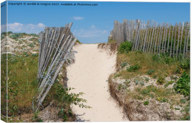 Path between the dunes in Brittany Canvas Print by aurélie le moigne