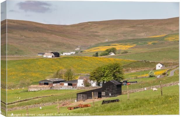 Spring Morning in Harwood Teesdale (1) Canvas Print by Richard Laidler