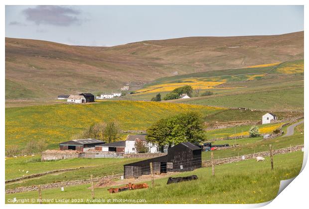 Spring Morning in Harwood Teesdale (1) Print by Richard Laidler
